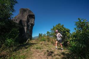 BIB: 
                            <button type="button" onclick="openModal(26578749)" class="btn btn-primary btn-sm float-right btn-popup" data-toggle="modal" data-target=".modal-high-quality">
                        <i class="fas fa-shopping-cart"></i> Add to Cart
                    </button>
                                            <button type="button" onclick="isThisMe(26578749, true)" class="btn btn-success btn-sm float-right btn-popup btn-isme hidden" data-toggle="tooltip" data-placement="bottom" title="นี่คือรูปของคุณใช่ไหม คลิกที่นี่เพื่อเอาเข้าอัลบั้ม">
                        <i class="fas fa-plus"></i> Add to album
                    </button>
                    <button type="button" onclick="isThisMe(26578749, false)" class="btn btn-warning btn-sm float-right btn-popup btn-isnotme hidden">
                        <i class="fas fa-ban"></i> Remove from album
                    </button>