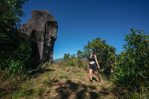 BIB: 
                            <button type="button" onclick="openModal(26577080)" class="btn btn-primary btn-sm float-right btn-popup" data-toggle="modal" data-target=".modal-high-quality">
                        <i class="fas fa-shopping-cart"></i> Add to Cart
                    </button>
                                            <button type="button" onclick="isThisMe(26577080, true)" class="btn btn-success btn-sm float-right btn-popup btn-isme hidden" data-toggle="tooltip" data-placement="bottom" title="นี่คือรูปของคุณใช่ไหม คลิกที่นี่เพื่อเอาเข้าอัลบั้ม">
                        <i class="fas fa-plus"></i> Add to album
                    </button>
                    <button type="button" onclick="isThisMe(26577080, false)" class="btn btn-warning btn-sm float-right btn-popup btn-isnotme hidden">
                        <i class="fas fa-ban"></i> Remove from album
                    </button>