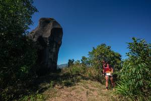 BIB: 
                            <button type="button" onclick="openModal(26585277)" class="btn btn-primary btn-sm float-right btn-popup" data-toggle="modal" data-target=".modal-high-quality">
                        <i class="fas fa-shopping-cart"></i> Add to Cart
                    </button>
                                            <button type="button" onclick="isThisMe(26585277, true)" class="btn btn-success btn-sm float-right btn-popup btn-isme hidden" data-toggle="tooltip" data-placement="bottom" title="นี่คือรูปของคุณใช่ไหม คลิกที่นี่เพื่อเอาเข้าอัลบั้ม">
                        <i class="fas fa-plus"></i> Add to album
                    </button>
                    <button type="button" onclick="isThisMe(26585277, false)" class="btn btn-warning btn-sm float-right btn-popup btn-isnotme hidden">
                        <i class="fas fa-ban"></i> Remove from album
                    </button>