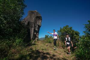 BIB: 
                            <button type="button" onclick="openModal(26576037)" class="btn btn-primary btn-sm float-right btn-popup" data-toggle="modal" data-target=".modal-high-quality">
                        <i class="fas fa-shopping-cart"></i> Add to Cart
                    </button>
                                            <button type="button" onclick="isThisMe(26576037, true)" class="btn btn-success btn-sm float-right btn-popup btn-isme hidden" data-toggle="tooltip" data-placement="bottom" title="นี่คือรูปของคุณใช่ไหม คลิกที่นี่เพื่อเอาเข้าอัลบั้ม">
                        <i class="fas fa-plus"></i> Add to album
                    </button>
                    <button type="button" onclick="isThisMe(26576037, false)" class="btn btn-warning btn-sm float-right btn-popup btn-isnotme hidden">
                        <i class="fas fa-ban"></i> Remove from album
                    </button>