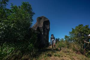 BIB: 
                            <button type="button" onclick="openModal(26582210)" class="btn btn-primary btn-sm float-right btn-popup" data-toggle="modal" data-target=".modal-high-quality">
                        <i class="fas fa-shopping-cart"></i> Add to Cart
                    </button>
                                            <button type="button" onclick="isThisMe(26582210, true)" class="btn btn-success btn-sm float-right btn-popup btn-isme hidden" data-toggle="tooltip" data-placement="bottom" title="นี่คือรูปของคุณใช่ไหม คลิกที่นี่เพื่อเอาเข้าอัลบั้ม">
                        <i class="fas fa-plus"></i> Add to album
                    </button>
                    <button type="button" onclick="isThisMe(26582210, false)" class="btn btn-warning btn-sm float-right btn-popup btn-isnotme hidden">
                        <i class="fas fa-ban"></i> Remove from album
                    </button>