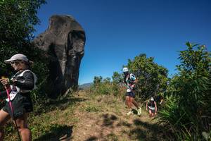 BIB: 
                            <button type="button" onclick="openModal(26578349)" class="btn btn-primary btn-sm float-right btn-popup" data-toggle="modal" data-target=".modal-high-quality">
                        <i class="fas fa-shopping-cart"></i> Add to Cart
                    </button>
                                            <button type="button" onclick="isThisMe(26578349, true)" class="btn btn-success btn-sm float-right btn-popup btn-isme hidden" data-toggle="tooltip" data-placement="bottom" title="นี่คือรูปของคุณใช่ไหม คลิกที่นี่เพื่อเอาเข้าอัลบั้ม">
                        <i class="fas fa-plus"></i> Add to album
                    </button>
                    <button type="button" onclick="isThisMe(26578349, false)" class="btn btn-warning btn-sm float-right btn-popup btn-isnotme hidden">
                        <i class="fas fa-ban"></i> Remove from album
                    </button>