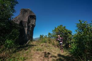 BIB: 
                            <button type="button" onclick="openModal(26578444)" class="btn btn-primary btn-sm float-right btn-popup" data-toggle="modal" data-target=".modal-high-quality">
                        <i class="fas fa-shopping-cart"></i> Add to Cart
                    </button>
                                            <button type="button" onclick="isThisMe(26578444, true)" class="btn btn-success btn-sm float-right btn-popup btn-isme hidden" data-toggle="tooltip" data-placement="bottom" title="นี่คือรูปของคุณใช่ไหม คลิกที่นี่เพื่อเอาเข้าอัลบั้ม">
                        <i class="fas fa-plus"></i> Add to album
                    </button>
                    <button type="button" onclick="isThisMe(26578444, false)" class="btn btn-warning btn-sm float-right btn-popup btn-isnotme hidden">
                        <i class="fas fa-ban"></i> Remove from album
                    </button>