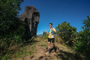 BIB: 
                            <button type="button" onclick="openModal(26578248)" class="btn btn-primary btn-sm float-right btn-popup" data-toggle="modal" data-target=".modal-high-quality">
                        <i class="fas fa-shopping-cart"></i> Add to Cart
                    </button>
                                            <button type="button" onclick="isThisMe(26578248, true)" class="btn btn-success btn-sm float-right btn-popup btn-isme hidden" data-toggle="tooltip" data-placement="bottom" title="นี่คือรูปของคุณใช่ไหม คลิกที่นี่เพื่อเอาเข้าอัลบั้ม">
                        <i class="fas fa-plus"></i> Add to album
                    </button>
                    <button type="button" onclick="isThisMe(26578248, false)" class="btn btn-warning btn-sm float-right btn-popup btn-isnotme hidden">
                        <i class="fas fa-ban"></i> Remove from album
                    </button>