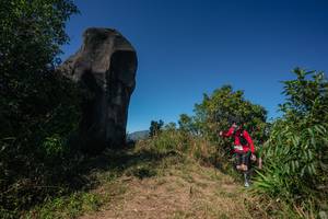 BIB: 
                            <button type="button" onclick="openModal(26584532)" class="btn btn-primary btn-sm float-right btn-popup" data-toggle="modal" data-target=".modal-high-quality">
                        <i class="fas fa-shopping-cart"></i> Add to Cart
                    </button>
                                            <button type="button" onclick="isThisMe(26584532, true)" class="btn btn-success btn-sm float-right btn-popup btn-isme hidden" data-toggle="tooltip" data-placement="bottom" title="นี่คือรูปของคุณใช่ไหม คลิกที่นี่เพื่อเอาเข้าอัลบั้ม">
                        <i class="fas fa-plus"></i> Add to album
                    </button>
                    <button type="button" onclick="isThisMe(26584532, false)" class="btn btn-warning btn-sm float-right btn-popup btn-isnotme hidden">
                        <i class="fas fa-ban"></i> Remove from album
                    </button>