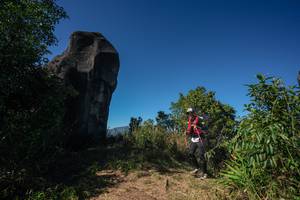 BIB: 
                            <button type="button" onclick="openModal(26587855)" class="btn btn-primary btn-sm float-right btn-popup" data-toggle="modal" data-target=".modal-high-quality">
                        <i class="fas fa-shopping-cart"></i> Add to Cart
                    </button>
                                            <button type="button" onclick="isThisMe(26587855, true)" class="btn btn-success btn-sm float-right btn-popup btn-isme hidden" data-toggle="tooltip" data-placement="bottom" title="นี่คือรูปของคุณใช่ไหม คลิกที่นี่เพื่อเอาเข้าอัลบั้ม">
                        <i class="fas fa-plus"></i> Add to album
                    </button>
                    <button type="button" onclick="isThisMe(26587855, false)" class="btn btn-warning btn-sm float-right btn-popup btn-isnotme hidden">
                        <i class="fas fa-ban"></i> Remove from album
                    </button>