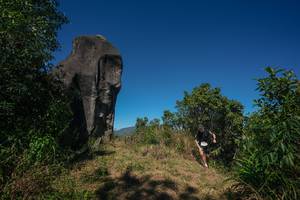 BIB: 
                            <button type="button" onclick="openModal(26576604)" class="btn btn-primary btn-sm float-right btn-popup" data-toggle="modal" data-target=".modal-high-quality">
                        <i class="fas fa-shopping-cart"></i> Add to Cart
                    </button>
                                            <button type="button" onclick="isThisMe(26576604, true)" class="btn btn-success btn-sm float-right btn-popup btn-isme hidden" data-toggle="tooltip" data-placement="bottom" title="นี่คือรูปของคุณใช่ไหม คลิกที่นี่เพื่อเอาเข้าอัลบั้ม">
                        <i class="fas fa-plus"></i> Add to album
                    </button>
                    <button type="button" onclick="isThisMe(26576604, false)" class="btn btn-warning btn-sm float-right btn-popup btn-isnotme hidden">
                        <i class="fas fa-ban"></i> Remove from album
                    </button>