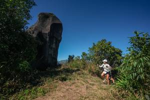 BIB: 
                            <button type="button" onclick="openModal(26584070)" class="btn btn-primary btn-sm float-right btn-popup" data-toggle="modal" data-target=".modal-high-quality">
                        <i class="fas fa-shopping-cart"></i> Add to Cart
                    </button>
                                            <button type="button" onclick="isThisMe(26584070, true)" class="btn btn-success btn-sm float-right btn-popup btn-isme hidden" data-toggle="tooltip" data-placement="bottom" title="นี่คือรูปของคุณใช่ไหม คลิกที่นี่เพื่อเอาเข้าอัลบั้ม">
                        <i class="fas fa-plus"></i> Add to album
                    </button>
                    <button type="button" onclick="isThisMe(26584070, false)" class="btn btn-warning btn-sm float-right btn-popup btn-isnotme hidden">
                        <i class="fas fa-ban"></i> Remove from album
                    </button>