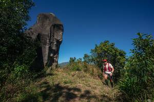 BIB: 
                            <button type="button" onclick="openModal(26576148)" class="btn btn-primary btn-sm float-right btn-popup" data-toggle="modal" data-target=".modal-high-quality">
                        <i class="fas fa-shopping-cart"></i> Add to Cart
                    </button>
                                            <button type="button" onclick="isThisMe(26576148, true)" class="btn btn-success btn-sm float-right btn-popup btn-isme hidden" data-toggle="tooltip" data-placement="bottom" title="นี่คือรูปของคุณใช่ไหม คลิกที่นี่เพื่อเอาเข้าอัลบั้ม">
                        <i class="fas fa-plus"></i> Add to album
                    </button>
                    <button type="button" onclick="isThisMe(26576148, false)" class="btn btn-warning btn-sm float-right btn-popup btn-isnotme hidden">
                        <i class="fas fa-ban"></i> Remove from album
                    </button>