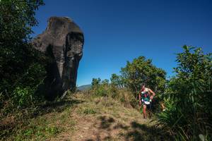 BIB: 
                            <button type="button" onclick="openModal(26578328)" class="btn btn-primary btn-sm float-right btn-popup" data-toggle="modal" data-target=".modal-high-quality">
                        <i class="fas fa-shopping-cart"></i> Add to Cart
                    </button>
                                            <button type="button" onclick="isThisMe(26578328, true)" class="btn btn-success btn-sm float-right btn-popup btn-isme hidden" data-toggle="tooltip" data-placement="bottom" title="นี่คือรูปของคุณใช่ไหม คลิกที่นี่เพื่อเอาเข้าอัลบั้ม">
                        <i class="fas fa-plus"></i> Add to album
                    </button>
                    <button type="button" onclick="isThisMe(26578328, false)" class="btn btn-warning btn-sm float-right btn-popup btn-isnotme hidden">
                        <i class="fas fa-ban"></i> Remove from album
                    </button>