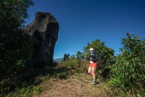 BIB: 
                            <button type="button" onclick="openModal(26585016)" class="btn btn-primary btn-sm float-right btn-popup" data-toggle="modal" data-target=".modal-high-quality">
                        <i class="fas fa-shopping-cart"></i> Add to Cart
                    </button>
                                            <button type="button" onclick="isThisMe(26585016, true)" class="btn btn-success btn-sm float-right btn-popup btn-isme hidden" data-toggle="tooltip" data-placement="bottom" title="นี่คือรูปของคุณใช่ไหม คลิกที่นี่เพื่อเอาเข้าอัลบั้ม">
                        <i class="fas fa-plus"></i> Add to album
                    </button>
                    <button type="button" onclick="isThisMe(26585016, false)" class="btn btn-warning btn-sm float-right btn-popup btn-isnotme hidden">
                        <i class="fas fa-ban"></i> Remove from album
                    </button>