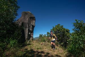 BIB: 
                            <button type="button" onclick="openModal(26575922)" class="btn btn-primary btn-sm float-right btn-popup" data-toggle="modal" data-target=".modal-high-quality">
                        <i class="fas fa-shopping-cart"></i> Add to Cart
                    </button>
                                            <button type="button" onclick="isThisMe(26575922, true)" class="btn btn-success btn-sm float-right btn-popup btn-isme hidden" data-toggle="tooltip" data-placement="bottom" title="นี่คือรูปของคุณใช่ไหม คลิกที่นี่เพื่อเอาเข้าอัลบั้ม">
                        <i class="fas fa-plus"></i> Add to album
                    </button>
                    <button type="button" onclick="isThisMe(26575922, false)" class="btn btn-warning btn-sm float-right btn-popup btn-isnotme hidden">
                        <i class="fas fa-ban"></i> Remove from album
                    </button>