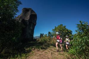 BIB: 
                            <button type="button" onclick="openModal(26586596)" class="btn btn-primary btn-sm float-right btn-popup" data-toggle="modal" data-target=".modal-high-quality">
                        <i class="fas fa-shopping-cart"></i> Add to Cart
                    </button>
                                            <button type="button" onclick="isThisMe(26586596, true)" class="btn btn-success btn-sm float-right btn-popup btn-isme hidden" data-toggle="tooltip" data-placement="bottom" title="นี่คือรูปของคุณใช่ไหม คลิกที่นี่เพื่อเอาเข้าอัลบั้ม">
                        <i class="fas fa-plus"></i> Add to album
                    </button>
                    <button type="button" onclick="isThisMe(26586596, false)" class="btn btn-warning btn-sm float-right btn-popup btn-isnotme hidden">
                        <i class="fas fa-ban"></i> Remove from album
                    </button>