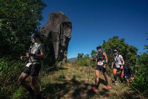 BIB: 
                            <button type="button" onclick="openModal(26576640)" class="btn btn-primary btn-sm float-right btn-popup" data-toggle="modal" data-target=".modal-high-quality">
                        <i class="fas fa-shopping-cart"></i> Add to Cart
                    </button>
                                            <button type="button" onclick="isThisMe(26576640, true)" class="btn btn-success btn-sm float-right btn-popup btn-isme hidden" data-toggle="tooltip" data-placement="bottom" title="นี่คือรูปของคุณใช่ไหม คลิกที่นี่เพื่อเอาเข้าอัลบั้ม">
                        <i class="fas fa-plus"></i> Add to album
                    </button>
                    <button type="button" onclick="isThisMe(26576640, false)" class="btn btn-warning btn-sm float-right btn-popup btn-isnotme hidden">
                        <i class="fas fa-ban"></i> Remove from album
                    </button>