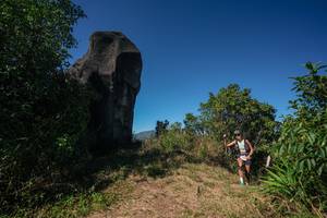 BIB: 
                            <button type="button" onclick="openModal(26585174)" class="btn btn-primary btn-sm float-right btn-popup" data-toggle="modal" data-target=".modal-high-quality">
                        <i class="fas fa-shopping-cart"></i> Add to Cart
                    </button>
                                            <button type="button" onclick="isThisMe(26585174, true)" class="btn btn-success btn-sm float-right btn-popup btn-isme hidden" data-toggle="tooltip" data-placement="bottom" title="นี่คือรูปของคุณใช่ไหม คลิกที่นี่เพื่อเอาเข้าอัลบั้ม">
                        <i class="fas fa-plus"></i> Add to album
                    </button>
                    <button type="button" onclick="isThisMe(26585174, false)" class="btn btn-warning btn-sm float-right btn-popup btn-isnotme hidden">
                        <i class="fas fa-ban"></i> Remove from album
                    </button>