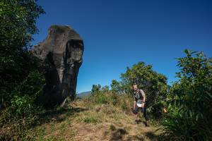 BIB: 
                            <button type="button" onclick="openModal(26578738)" class="btn btn-primary btn-sm float-right btn-popup" data-toggle="modal" data-target=".modal-high-quality">
                        <i class="fas fa-shopping-cart"></i> Add to Cart
                    </button>
                                            <button type="button" onclick="isThisMe(26578738, true)" class="btn btn-success btn-sm float-right btn-popup btn-isme hidden" data-toggle="tooltip" data-placement="bottom" title="นี่คือรูปของคุณใช่ไหม คลิกที่นี่เพื่อเอาเข้าอัลบั้ม">
                        <i class="fas fa-plus"></i> Add to album
                    </button>
                    <button type="button" onclick="isThisMe(26578738, false)" class="btn btn-warning btn-sm float-right btn-popup btn-isnotme hidden">
                        <i class="fas fa-ban"></i> Remove from album
                    </button>