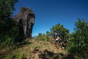 BIB: 
                            <button type="button" onclick="openModal(26577505)" class="btn btn-primary btn-sm float-right btn-popup" data-toggle="modal" data-target=".modal-high-quality">
                        <i class="fas fa-shopping-cart"></i> Add to Cart
                    </button>
                                            <button type="button" onclick="isThisMe(26577505, true)" class="btn btn-success btn-sm float-right btn-popup btn-isme hidden" data-toggle="tooltip" data-placement="bottom" title="นี่คือรูปของคุณใช่ไหม คลิกที่นี่เพื่อเอาเข้าอัลบั้ม">
                        <i class="fas fa-plus"></i> Add to album
                    </button>
                    <button type="button" onclick="isThisMe(26577505, false)" class="btn btn-warning btn-sm float-right btn-popup btn-isnotme hidden">
                        <i class="fas fa-ban"></i> Remove from album
                    </button>