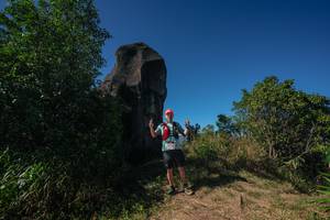 BIB: 
                            <button type="button" onclick="openModal(26586904)" class="btn btn-primary btn-sm float-right btn-popup" data-toggle="modal" data-target=".modal-high-quality">
                        <i class="fas fa-shopping-cart"></i> Add to Cart
                    </button>
                                            <button type="button" onclick="isThisMe(26586904, true)" class="btn btn-success btn-sm float-right btn-popup btn-isme hidden" data-toggle="tooltip" data-placement="bottom" title="นี่คือรูปของคุณใช่ไหม คลิกที่นี่เพื่อเอาเข้าอัลบั้ม">
                        <i class="fas fa-plus"></i> Add to album
                    </button>
                    <button type="button" onclick="isThisMe(26586904, false)" class="btn btn-warning btn-sm float-right btn-popup btn-isnotme hidden">
                        <i class="fas fa-ban"></i> Remove from album
                    </button>