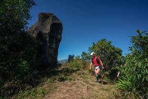 BIB: 
                            <button type="button" onclick="openModal(26583660)" class="btn btn-primary btn-sm float-right btn-popup" data-toggle="modal" data-target=".modal-high-quality">
                        <i class="fas fa-shopping-cart"></i> Add to Cart
                    </button>
                                            <button type="button" onclick="isThisMe(26583660, true)" class="btn btn-success btn-sm float-right btn-popup btn-isme hidden" data-toggle="tooltip" data-placement="bottom" title="นี่คือรูปของคุณใช่ไหม คลิกที่นี่เพื่อเอาเข้าอัลบั้ม">
                        <i class="fas fa-plus"></i> Add to album
                    </button>
                    <button type="button" onclick="isThisMe(26583660, false)" class="btn btn-warning btn-sm float-right btn-popup btn-isnotme hidden">
                        <i class="fas fa-ban"></i> Remove from album
                    </button>