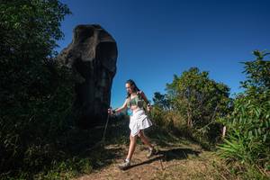 BIB: 
                            <button type="button" onclick="openModal(26587934)" class="btn btn-primary btn-sm float-right btn-popup" data-toggle="modal" data-target=".modal-high-quality">
                        <i class="fas fa-shopping-cart"></i> Add to Cart
                    </button>
                                            <button type="button" onclick="isThisMe(26587934, true)" class="btn btn-success btn-sm float-right btn-popup btn-isme hidden" data-toggle="tooltip" data-placement="bottom" title="นี่คือรูปของคุณใช่ไหม คลิกที่นี่เพื่อเอาเข้าอัลบั้ม">
                        <i class="fas fa-plus"></i> Add to album
                    </button>
                    <button type="button" onclick="isThisMe(26587934, false)" class="btn btn-warning btn-sm float-right btn-popup btn-isnotme hidden">
                        <i class="fas fa-ban"></i> Remove from album
                    </button>