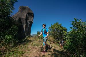 BIB: 
                            <button type="button" onclick="openModal(26578430)" class="btn btn-primary btn-sm float-right btn-popup" data-toggle="modal" data-target=".modal-high-quality">
                        <i class="fas fa-shopping-cart"></i> Add to Cart
                    </button>
                                            <button type="button" onclick="isThisMe(26578430, true)" class="btn btn-success btn-sm float-right btn-popup btn-isme hidden" data-toggle="tooltip" data-placement="bottom" title="นี่คือรูปของคุณใช่ไหม คลิกที่นี่เพื่อเอาเข้าอัลบั้ม">
                        <i class="fas fa-plus"></i> Add to album
                    </button>
                    <button type="button" onclick="isThisMe(26578430, false)" class="btn btn-warning btn-sm float-right btn-popup btn-isnotme hidden">
                        <i class="fas fa-ban"></i> Remove from album
                    </button>