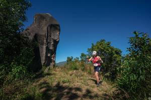 BIB: 
                            <button type="button" onclick="openModal(26576311)" class="btn btn-primary btn-sm float-right btn-popup" data-toggle="modal" data-target=".modal-high-quality">
                        <i class="fas fa-shopping-cart"></i> Add to Cart
                    </button>
                                            <button type="button" onclick="isThisMe(26576311, true)" class="btn btn-success btn-sm float-right btn-popup btn-isme hidden" data-toggle="tooltip" data-placement="bottom" title="นี่คือรูปของคุณใช่ไหม คลิกที่นี่เพื่อเอาเข้าอัลบั้ม">
                        <i class="fas fa-plus"></i> Add to album
                    </button>
                    <button type="button" onclick="isThisMe(26576311, false)" class="btn btn-warning btn-sm float-right btn-popup btn-isnotme hidden">
                        <i class="fas fa-ban"></i> Remove from album
                    </button>