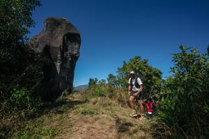 BIB: 
                            <button type="button" onclick="openModal(26579100)" class="btn btn-primary btn-sm float-right btn-popup" data-toggle="modal" data-target=".modal-high-quality">
                        <i class="fas fa-shopping-cart"></i> Add to Cart
                    </button>
                                            <button type="button" onclick="isThisMe(26579100, true)" class="btn btn-success btn-sm float-right btn-popup btn-isme hidden" data-toggle="tooltip" data-placement="bottom" title="นี่คือรูปของคุณใช่ไหม คลิกที่นี่เพื่อเอาเข้าอัลบั้ม">
                        <i class="fas fa-plus"></i> Add to album
                    </button>
                    <button type="button" onclick="isThisMe(26579100, false)" class="btn btn-warning btn-sm float-right btn-popup btn-isnotme hidden">
                        <i class="fas fa-ban"></i> Remove from album
                    </button>