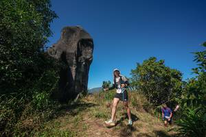 BIB: 
                            <button type="button" onclick="openModal(26578708)" class="btn btn-primary btn-sm float-right btn-popup" data-toggle="modal" data-target=".modal-high-quality">
                        <i class="fas fa-shopping-cart"></i> Add to Cart
                    </button>
                                            <button type="button" onclick="isThisMe(26578708, true)" class="btn btn-success btn-sm float-right btn-popup btn-isme hidden" data-toggle="tooltip" data-placement="bottom" title="นี่คือรูปของคุณใช่ไหม คลิกที่นี่เพื่อเอาเข้าอัลบั้ม">
                        <i class="fas fa-plus"></i> Add to album
                    </button>
                    <button type="button" onclick="isThisMe(26578708, false)" class="btn btn-warning btn-sm float-right btn-popup btn-isnotme hidden">
                        <i class="fas fa-ban"></i> Remove from album
                    </button>