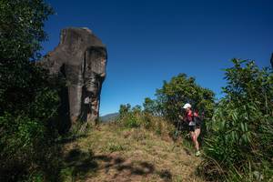 BIB: 
                            <button type="button" onclick="openModal(26574958)" class="btn btn-primary btn-sm float-right btn-popup" data-toggle="modal" data-target=".modal-high-quality">
                        <i class="fas fa-shopping-cart"></i> Add to Cart
                    </button>
                                            <button type="button" onclick="isThisMe(26574958, true)" class="btn btn-success btn-sm float-right btn-popup btn-isme hidden" data-toggle="tooltip" data-placement="bottom" title="นี่คือรูปของคุณใช่ไหม คลิกที่นี่เพื่อเอาเข้าอัลบั้ม">
                        <i class="fas fa-plus"></i> Add to album
                    </button>
                    <button type="button" onclick="isThisMe(26574958, false)" class="btn btn-warning btn-sm float-right btn-popup btn-isnotme hidden">
                        <i class="fas fa-ban"></i> Remove from album
                    </button>