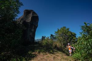 BIB: 
                            <button type="button" onclick="openModal(26587622)" class="btn btn-primary btn-sm float-right btn-popup" data-toggle="modal" data-target=".modal-high-quality">
                        <i class="fas fa-shopping-cart"></i> Add to Cart
                    </button>
                                            <button type="button" onclick="isThisMe(26587622, true)" class="btn btn-success btn-sm float-right btn-popup btn-isme hidden" data-toggle="tooltip" data-placement="bottom" title="นี่คือรูปของคุณใช่ไหม คลิกที่นี่เพื่อเอาเข้าอัลบั้ม">
                        <i class="fas fa-plus"></i> Add to album
                    </button>
                    <button type="button" onclick="isThisMe(26587622, false)" class="btn btn-warning btn-sm float-right btn-popup btn-isnotme hidden">
                        <i class="fas fa-ban"></i> Remove from album
                    </button>