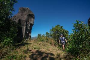 BIB: 
                            <button type="button" onclick="openModal(26577014)" class="btn btn-primary btn-sm float-right btn-popup" data-toggle="modal" data-target=".modal-high-quality">
                        <i class="fas fa-shopping-cart"></i> Add to Cart
                    </button>
                                            <button type="button" onclick="isThisMe(26577014, true)" class="btn btn-success btn-sm float-right btn-popup btn-isme hidden" data-toggle="tooltip" data-placement="bottom" title="นี่คือรูปของคุณใช่ไหม คลิกที่นี่เพื่อเอาเข้าอัลบั้ม">
                        <i class="fas fa-plus"></i> Add to album
                    </button>
                    <button type="button" onclick="isThisMe(26577014, false)" class="btn btn-warning btn-sm float-right btn-popup btn-isnotme hidden">
                        <i class="fas fa-ban"></i> Remove from album
                    </button>