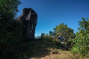 BIB: 
                            <button type="button" onclick="openModal(26591641)" class="btn btn-primary btn-sm float-right btn-popup" data-toggle="modal" data-target=".modal-high-quality">
                        <i class="fas fa-shopping-cart"></i> Add to Cart
                    </button>
                                            <button type="button" onclick="isThisMe(26591641, true)" class="btn btn-success btn-sm float-right btn-popup btn-isme hidden" data-toggle="tooltip" data-placement="bottom" title="นี่คือรูปของคุณใช่ไหม คลิกที่นี่เพื่อเอาเข้าอัลบั้ม">
                        <i class="fas fa-plus"></i> Add to album
                    </button>
                    <button type="button" onclick="isThisMe(26591641, false)" class="btn btn-warning btn-sm float-right btn-popup btn-isnotme hidden">
                        <i class="fas fa-ban"></i> Remove from album
                    </button>