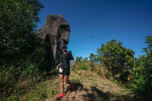 BIB: 
                            <button type="button" onclick="openModal(26577723)" class="btn btn-primary btn-sm float-right btn-popup" data-toggle="modal" data-target=".modal-high-quality">
                        <i class="fas fa-shopping-cart"></i> Add to Cart
                    </button>
                                            <button type="button" onclick="isThisMe(26577723, true)" class="btn btn-success btn-sm float-right btn-popup btn-isme hidden" data-toggle="tooltip" data-placement="bottom" title="นี่คือรูปของคุณใช่ไหม คลิกที่นี่เพื่อเอาเข้าอัลบั้ม">
                        <i class="fas fa-plus"></i> Add to album
                    </button>
                    <button type="button" onclick="isThisMe(26577723, false)" class="btn btn-warning btn-sm float-right btn-popup btn-isnotme hidden">
                        <i class="fas fa-ban"></i> Remove from album
                    </button>