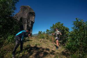 BIB: 
                            <button type="button" onclick="openModal(26576624)" class="btn btn-primary btn-sm float-right btn-popup" data-toggle="modal" data-target=".modal-high-quality">
                        <i class="fas fa-shopping-cart"></i> Add to Cart
                    </button>
                                            <button type="button" onclick="isThisMe(26576624, true)" class="btn btn-success btn-sm float-right btn-popup btn-isme hidden" data-toggle="tooltip" data-placement="bottom" title="นี่คือรูปของคุณใช่ไหม คลิกที่นี่เพื่อเอาเข้าอัลบั้ม">
                        <i class="fas fa-plus"></i> Add to album
                    </button>
                    <button type="button" onclick="isThisMe(26576624, false)" class="btn btn-warning btn-sm float-right btn-popup btn-isnotme hidden">
                        <i class="fas fa-ban"></i> Remove from album
                    </button>