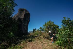 BIB: 
                            <button type="button" onclick="openModal(26583851)" class="btn btn-primary btn-sm float-right btn-popup" data-toggle="modal" data-target=".modal-high-quality">
                        <i class="fas fa-shopping-cart"></i> Add to Cart
                    </button>
                                            <button type="button" onclick="isThisMe(26583851, true)" class="btn btn-success btn-sm float-right btn-popup btn-isme hidden" data-toggle="tooltip" data-placement="bottom" title="นี่คือรูปของคุณใช่ไหม คลิกที่นี่เพื่อเอาเข้าอัลบั้ม">
                        <i class="fas fa-plus"></i> Add to album
                    </button>
                    <button type="button" onclick="isThisMe(26583851, false)" class="btn btn-warning btn-sm float-right btn-popup btn-isnotme hidden">
                        <i class="fas fa-ban"></i> Remove from album
                    </button>