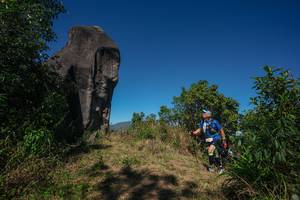 BIB: 
                            <button type="button" onclick="openModal(26576742)" class="btn btn-primary btn-sm float-right btn-popup" data-toggle="modal" data-target=".modal-high-quality">
                        <i class="fas fa-shopping-cart"></i> Add to Cart
                    </button>
                                            <button type="button" onclick="isThisMe(26576742, true)" class="btn btn-success btn-sm float-right btn-popup btn-isme hidden" data-toggle="tooltip" data-placement="bottom" title="นี่คือรูปของคุณใช่ไหม คลิกที่นี่เพื่อเอาเข้าอัลบั้ม">
                        <i class="fas fa-plus"></i> Add to album
                    </button>
                    <button type="button" onclick="isThisMe(26576742, false)" class="btn btn-warning btn-sm float-right btn-popup btn-isnotme hidden">
                        <i class="fas fa-ban"></i> Remove from album
                    </button>