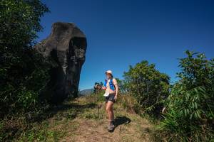 BIB: 
                            <button type="button" onclick="openModal(26580610)" class="btn btn-primary btn-sm float-right btn-popup" data-toggle="modal" data-target=".modal-high-quality">
                        <i class="fas fa-shopping-cart"></i> Add to Cart
                    </button>
                                            <button type="button" onclick="isThisMe(26580610, true)" class="btn btn-success btn-sm float-right btn-popup btn-isme hidden" data-toggle="tooltip" data-placement="bottom" title="นี่คือรูปของคุณใช่ไหม คลิกที่นี่เพื่อเอาเข้าอัลบั้ม">
                        <i class="fas fa-plus"></i> Add to album
                    </button>
                    <button type="button" onclick="isThisMe(26580610, false)" class="btn btn-warning btn-sm float-right btn-popup btn-isnotme hidden">
                        <i class="fas fa-ban"></i> Remove from album
                    </button>