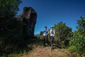 BIB: 
                            <button type="button" onclick="openModal(26586939)" class="btn btn-primary btn-sm float-right btn-popup" data-toggle="modal" data-target=".modal-high-quality">
                        <i class="fas fa-shopping-cart"></i> Add to Cart
                    </button>
                                            <button type="button" onclick="isThisMe(26586939, true)" class="btn btn-success btn-sm float-right btn-popup btn-isme hidden" data-toggle="tooltip" data-placement="bottom" title="นี่คือรูปของคุณใช่ไหม คลิกที่นี่เพื่อเอาเข้าอัลบั้ม">
                        <i class="fas fa-plus"></i> Add to album
                    </button>
                    <button type="button" onclick="isThisMe(26586939, false)" class="btn btn-warning btn-sm float-right btn-popup btn-isnotme hidden">
                        <i class="fas fa-ban"></i> Remove from album
                    </button>