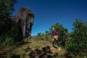 BIB: 
                            <button type="button" onclick="openModal(26576853)" class="btn btn-primary btn-sm float-right btn-popup" data-toggle="modal" data-target=".modal-high-quality">
                        <i class="fas fa-shopping-cart"></i> Add to Cart
                    </button>
                                            <button type="button" onclick="isThisMe(26576853, true)" class="btn btn-success btn-sm float-right btn-popup btn-isme hidden" data-toggle="tooltip" data-placement="bottom" title="นี่คือรูปของคุณใช่ไหม คลิกที่นี่เพื่อเอาเข้าอัลบั้ม">
                        <i class="fas fa-plus"></i> Add to album
                    </button>
                    <button type="button" onclick="isThisMe(26576853, false)" class="btn btn-warning btn-sm float-right btn-popup btn-isnotme hidden">
                        <i class="fas fa-ban"></i> Remove from album
                    </button>