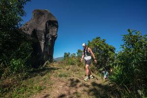 BIB: 
                            <button type="button" onclick="openModal(26578368)" class="btn btn-primary btn-sm float-right btn-popup" data-toggle="modal" data-target=".modal-high-quality">
                        <i class="fas fa-shopping-cart"></i> Add to Cart
                    </button>
                                            <button type="button" onclick="isThisMe(26578368, true)" class="btn btn-success btn-sm float-right btn-popup btn-isme hidden" data-toggle="tooltip" data-placement="bottom" title="นี่คือรูปของคุณใช่ไหม คลิกที่นี่เพื่อเอาเข้าอัลบั้ม">
                        <i class="fas fa-plus"></i> Add to album
                    </button>
                    <button type="button" onclick="isThisMe(26578368, false)" class="btn btn-warning btn-sm float-right btn-popup btn-isnotme hidden">
                        <i class="fas fa-ban"></i> Remove from album
                    </button>