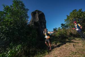 BIB: 
                            <button type="button" onclick="openModal(26587415)" class="btn btn-primary btn-sm float-right btn-popup" data-toggle="modal" data-target=".modal-high-quality">
                        <i class="fas fa-shopping-cart"></i> Add to Cart
                    </button>
                                            <button type="button" onclick="isThisMe(26587415, true)" class="btn btn-success btn-sm float-right btn-popup btn-isme hidden" data-toggle="tooltip" data-placement="bottom" title="นี่คือรูปของคุณใช่ไหม คลิกที่นี่เพื่อเอาเข้าอัลบั้ม">
                        <i class="fas fa-plus"></i> Add to album
                    </button>
                    <button type="button" onclick="isThisMe(26587415, false)" class="btn btn-warning btn-sm float-right btn-popup btn-isnotme hidden">
                        <i class="fas fa-ban"></i> Remove from album
                    </button>