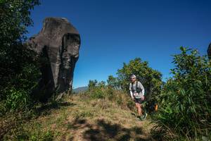 BIB: 
                            <button type="button" onclick="openModal(26577328)" class="btn btn-primary btn-sm float-right btn-popup" data-toggle="modal" data-target=".modal-high-quality">
                        <i class="fas fa-shopping-cart"></i> Add to Cart
                    </button>
                                            <button type="button" onclick="isThisMe(26577328, true)" class="btn btn-success btn-sm float-right btn-popup btn-isme hidden" data-toggle="tooltip" data-placement="bottom" title="นี่คือรูปของคุณใช่ไหม คลิกที่นี่เพื่อเอาเข้าอัลบั้ม">
                        <i class="fas fa-plus"></i> Add to album
                    </button>
                    <button type="button" onclick="isThisMe(26577328, false)" class="btn btn-warning btn-sm float-right btn-popup btn-isnotme hidden">
                        <i class="fas fa-ban"></i> Remove from album
                    </button>