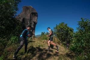 BIB: 
                            <button type="button" onclick="openModal(26576634)" class="btn btn-primary btn-sm float-right btn-popup" data-toggle="modal" data-target=".modal-high-quality">
                        <i class="fas fa-shopping-cart"></i> Add to Cart
                    </button>
                                            <button type="button" onclick="isThisMe(26576634, true)" class="btn btn-success btn-sm float-right btn-popup btn-isme hidden" data-toggle="tooltip" data-placement="bottom" title="นี่คือรูปของคุณใช่ไหม คลิกที่นี่เพื่อเอาเข้าอัลบั้ม">
                        <i class="fas fa-plus"></i> Add to album
                    </button>
                    <button type="button" onclick="isThisMe(26576634, false)" class="btn btn-warning btn-sm float-right btn-popup btn-isnotme hidden">
                        <i class="fas fa-ban"></i> Remove from album
                    </button>