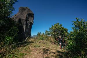 BIB: 
                            <button type="button" onclick="openModal(26578572)" class="btn btn-primary btn-sm float-right btn-popup" data-toggle="modal" data-target=".modal-high-quality">
                        <i class="fas fa-shopping-cart"></i> Add to Cart
                    </button>
                                            <button type="button" onclick="isThisMe(26578572, true)" class="btn btn-success btn-sm float-right btn-popup btn-isme hidden" data-toggle="tooltip" data-placement="bottom" title="นี่คือรูปของคุณใช่ไหม คลิกที่นี่เพื่อเอาเข้าอัลบั้ม">
                        <i class="fas fa-plus"></i> Add to album
                    </button>
                    <button type="button" onclick="isThisMe(26578572, false)" class="btn btn-warning btn-sm float-right btn-popup btn-isnotme hidden">
                        <i class="fas fa-ban"></i> Remove from album
                    </button>