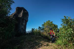 BIB: 
                            <button type="button" onclick="openModal(26592057)" class="btn btn-primary btn-sm float-right btn-popup" data-toggle="modal" data-target=".modal-high-quality">
                        <i class="fas fa-shopping-cart"></i> Add to Cart
                    </button>
                                            <button type="button" onclick="isThisMe(26592057, true)" class="btn btn-success btn-sm float-right btn-popup btn-isme hidden" data-toggle="tooltip" data-placement="bottom" title="นี่คือรูปของคุณใช่ไหม คลิกที่นี่เพื่อเอาเข้าอัลบั้ม">
                        <i class="fas fa-plus"></i> Add to album
                    </button>
                    <button type="button" onclick="isThisMe(26592057, false)" class="btn btn-warning btn-sm float-right btn-popup btn-isnotme hidden">
                        <i class="fas fa-ban"></i> Remove from album
                    </button>