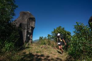 BIB: 
                            <button type="button" onclick="openModal(26575944)" class="btn btn-primary btn-sm float-right btn-popup" data-toggle="modal" data-target=".modal-high-quality">
                        <i class="fas fa-shopping-cart"></i> Add to Cart
                    </button>
                                            <button type="button" onclick="isThisMe(26575944, true)" class="btn btn-success btn-sm float-right btn-popup btn-isme hidden" data-toggle="tooltip" data-placement="bottom" title="นี่คือรูปของคุณใช่ไหม คลิกที่นี่เพื่อเอาเข้าอัลบั้ม">
                        <i class="fas fa-plus"></i> Add to album
                    </button>
                    <button type="button" onclick="isThisMe(26575944, false)" class="btn btn-warning btn-sm float-right btn-popup btn-isnotme hidden">
                        <i class="fas fa-ban"></i> Remove from album
                    </button>