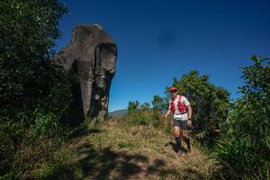 BIB: 
                            <button type="button" onclick="openModal(26576150)" class="btn btn-primary btn-sm float-right btn-popup" data-toggle="modal" data-target=".modal-high-quality">
                        <i class="fas fa-shopping-cart"></i> Add to Cart
                    </button>
                                            <button type="button" onclick="isThisMe(26576150, true)" class="btn btn-success btn-sm float-right btn-popup btn-isme hidden" data-toggle="tooltip" data-placement="bottom" title="นี่คือรูปของคุณใช่ไหม คลิกที่นี่เพื่อเอาเข้าอัลบั้ม">
                        <i class="fas fa-plus"></i> Add to album
                    </button>
                    <button type="button" onclick="isThisMe(26576150, false)" class="btn btn-warning btn-sm float-right btn-popup btn-isnotme hidden">
                        <i class="fas fa-ban"></i> Remove from album
                    </button>