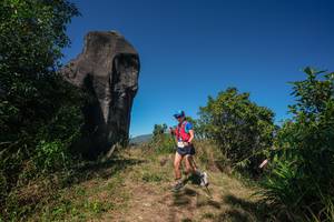 BIB: 
                            <button type="button" onclick="openModal(26578517)" class="btn btn-primary btn-sm float-right btn-popup" data-toggle="modal" data-target=".modal-high-quality">
                        <i class="fas fa-shopping-cart"></i> Add to Cart
                    </button>
                                            <button type="button" onclick="isThisMe(26578517, true)" class="btn btn-success btn-sm float-right btn-popup btn-isme hidden" data-toggle="tooltip" data-placement="bottom" title="นี่คือรูปของคุณใช่ไหม คลิกที่นี่เพื่อเอาเข้าอัลบั้ม">
                        <i class="fas fa-plus"></i> Add to album
                    </button>
                    <button type="button" onclick="isThisMe(26578517, false)" class="btn btn-warning btn-sm float-right btn-popup btn-isnotme hidden">
                        <i class="fas fa-ban"></i> Remove from album
                    </button>