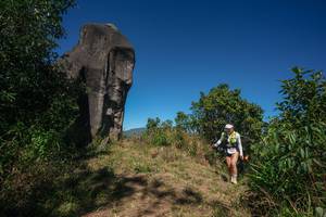 BIB: 
                            <button type="button" onclick="openModal(26575450)" class="btn btn-primary btn-sm float-right btn-popup" data-toggle="modal" data-target=".modal-high-quality">
                        <i class="fas fa-shopping-cart"></i> Add to Cart
                    </button>
                                            <button type="button" onclick="isThisMe(26575450, true)" class="btn btn-success btn-sm float-right btn-popup btn-isme hidden" data-toggle="tooltip" data-placement="bottom" title="นี่คือรูปของคุณใช่ไหม คลิกที่นี่เพื่อเอาเข้าอัลบั้ม">
                        <i class="fas fa-plus"></i> Add to album
                    </button>
                    <button type="button" onclick="isThisMe(26575450, false)" class="btn btn-warning btn-sm float-right btn-popup btn-isnotme hidden">
                        <i class="fas fa-ban"></i> Remove from album
                    </button>