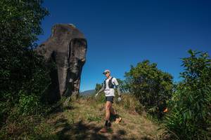 BIB: 
                            <button type="button" onclick="openModal(26576242)" class="btn btn-primary btn-sm float-right btn-popup" data-toggle="modal" data-target=".modal-high-quality">
                        <i class="fas fa-shopping-cart"></i> Add to Cart
                    </button>
                                            <button type="button" onclick="isThisMe(26576242, true)" class="btn btn-success btn-sm float-right btn-popup btn-isme hidden" data-toggle="tooltip" data-placement="bottom" title="นี่คือรูปของคุณใช่ไหม คลิกที่นี่เพื่อเอาเข้าอัลบั้ม">
                        <i class="fas fa-plus"></i> Add to album
                    </button>
                    <button type="button" onclick="isThisMe(26576242, false)" class="btn btn-warning btn-sm float-right btn-popup btn-isnotme hidden">
                        <i class="fas fa-ban"></i> Remove from album
                    </button>